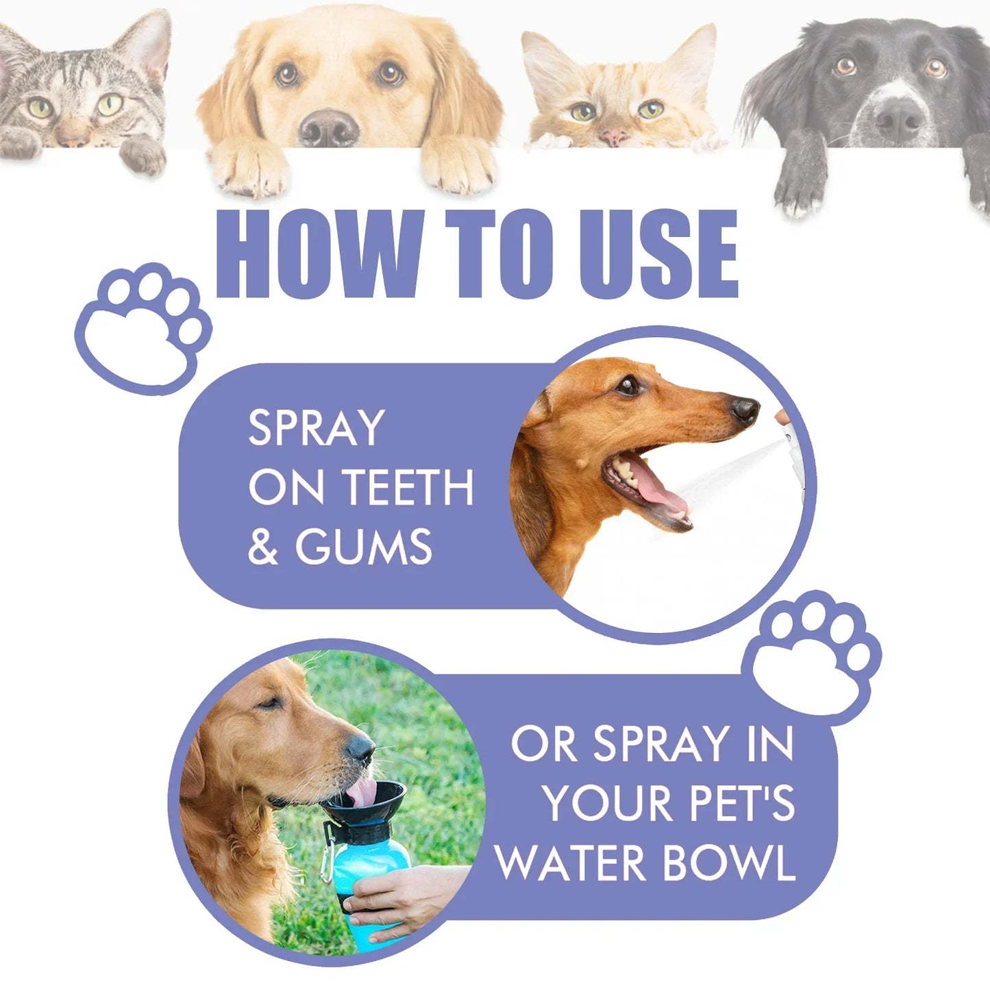 Dental Spray – Oral Care & Odor Control (30 ml)