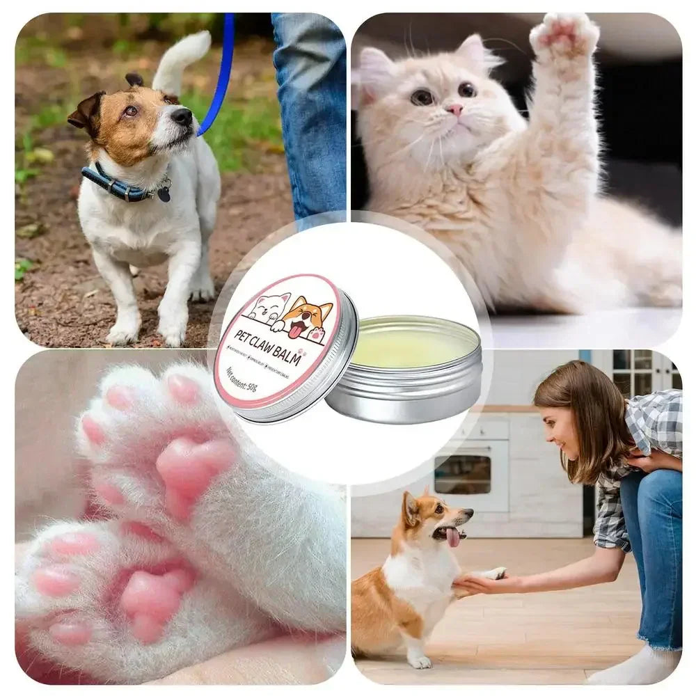 Paw Balm – Nose & Paw Moisturizer (50 g)