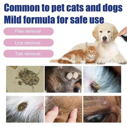 Pet Flea & Tick Spray – Gentle Protection (100 ml)